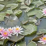 Maison Chaleureuse Aux Portes D'argentan - 9 Pers. - Fr-1-497-131 * Sarceaux