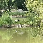 Maison Chaleureuse Aux Portes D'argentan - 9 Pers. - Fr-1-497-131 Casa vacanze *