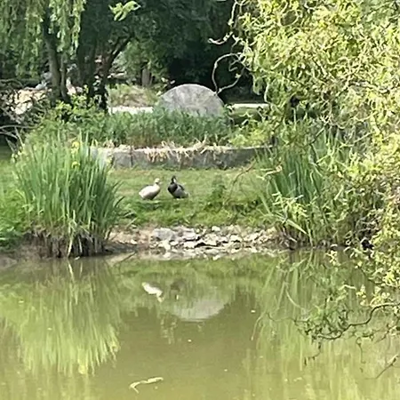 Maison Spacieuse A Avec Jardin Et Animaux Acceptes - Fr-1-497-131 Feriehus *
