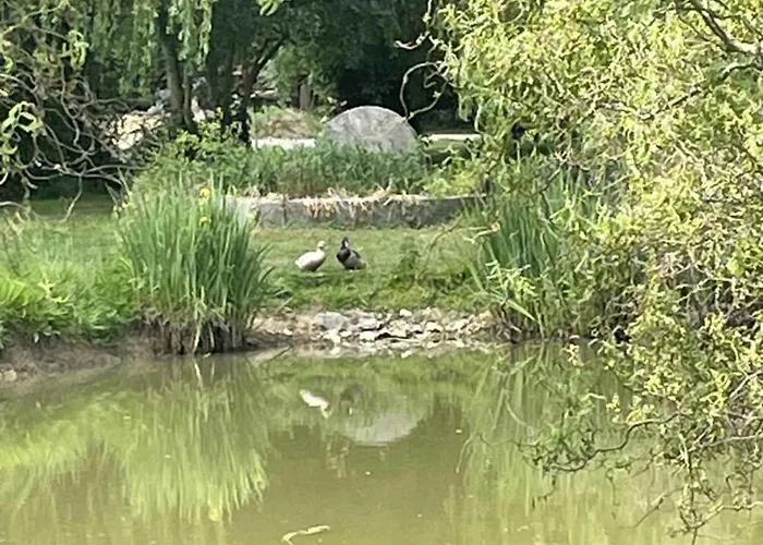 Maison Chaleureuse Aux Portes D'argentan - 9 Pers. - Fr-1-497-131 度假居 *