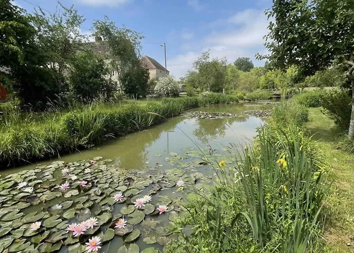 Maison Chaleureuse Aux Portes D'argentan - 9 Pers. - Fr-1-497-131