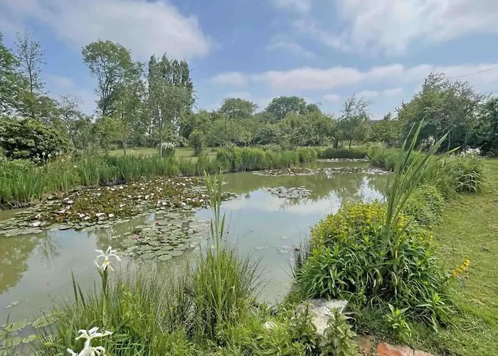Maison Chaleureuse Aux Portes D'argentan - 9 Pers. - Fr-1-497-131 度假居 *
